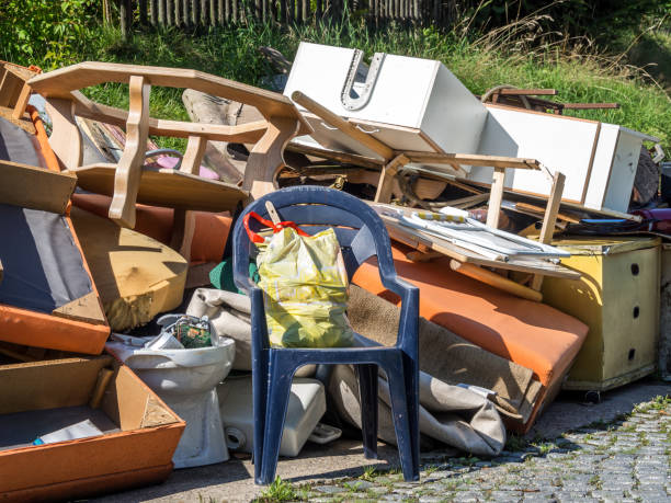 Best Basement Cleanout Services  in Todd Creek, CO