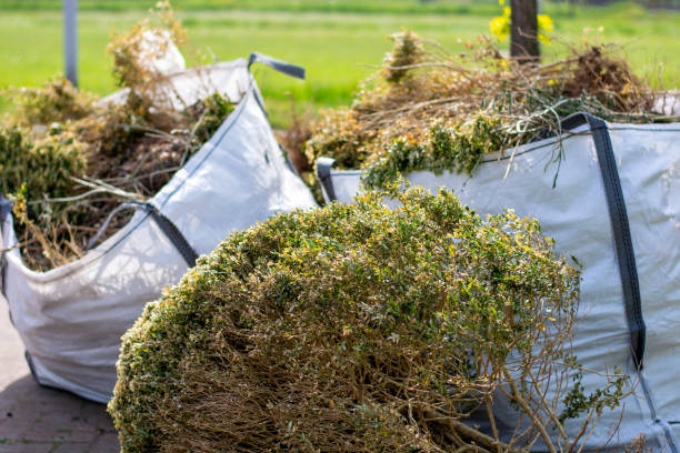 Best Junk Removal Near Me  in Todd Creek, CO